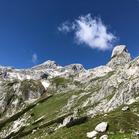 Apartmán Alpendomizil II Mühlbach am Hochkönig Exteriér fotografie