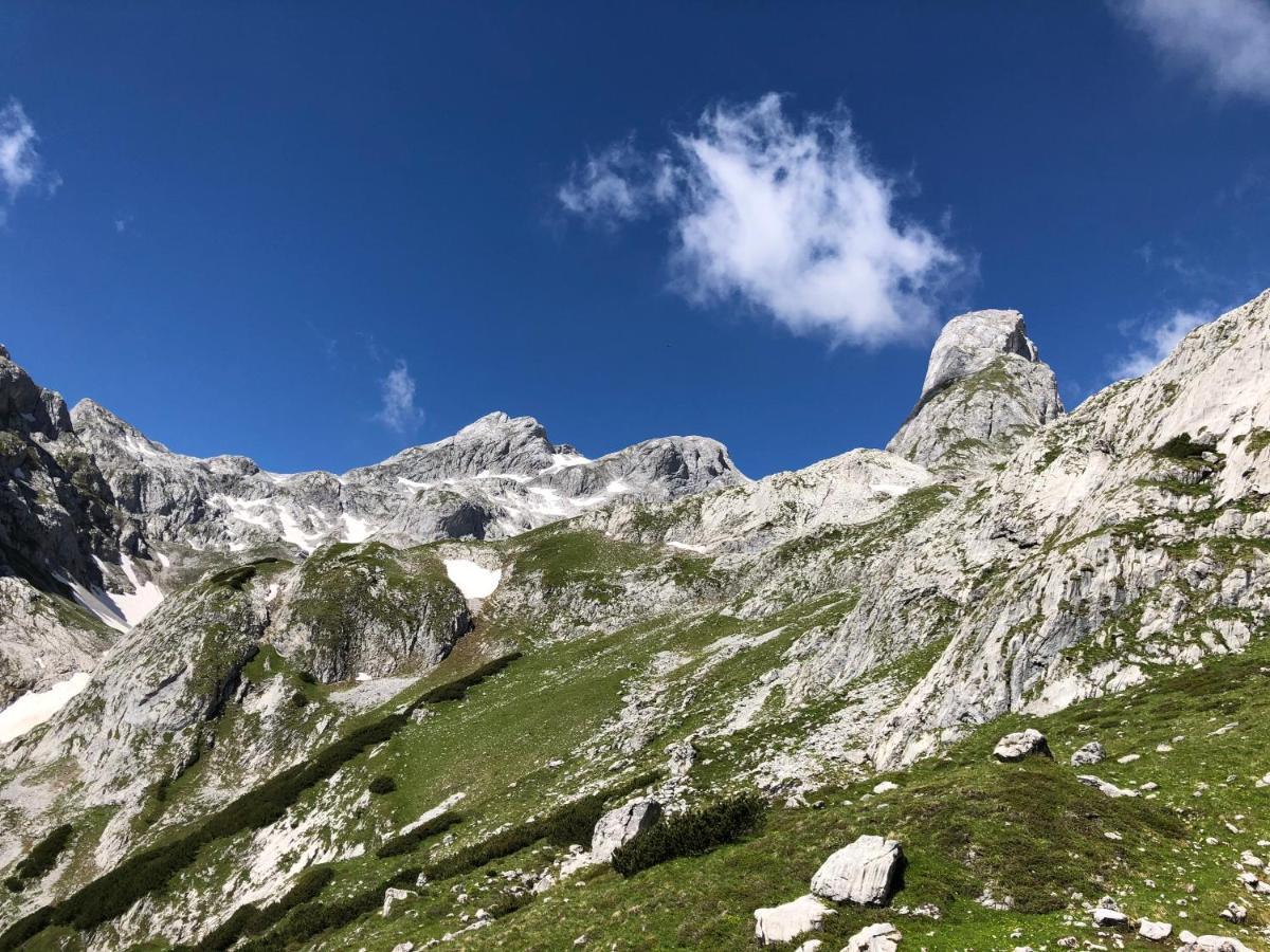 Apartmán Alpendomizil II Mühlbach am Hochkönig Exteriér fotografie