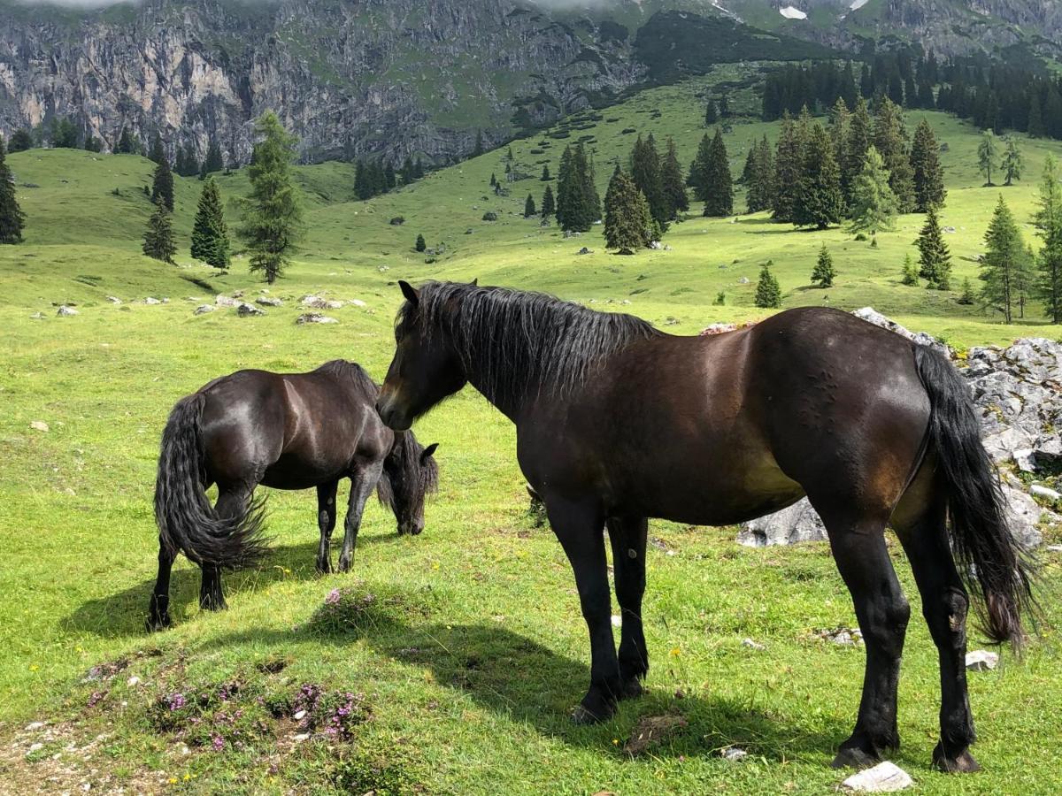 Apartmán Alpendomizil II Mühlbach am Hochkönig Exteriér fotografie